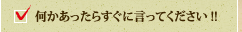 何かあったらすぐに言ってください！！